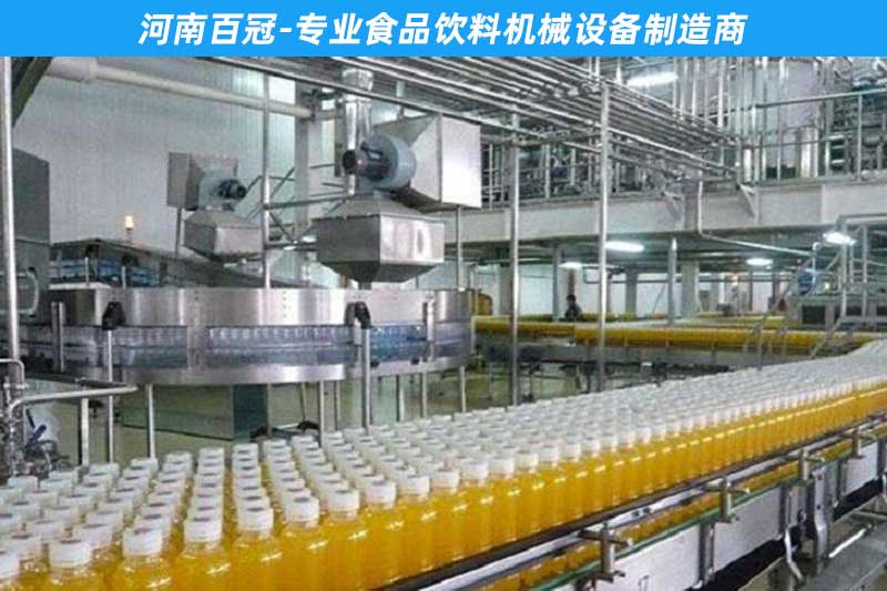 中小型全套菠蘿汁飲料加工設備